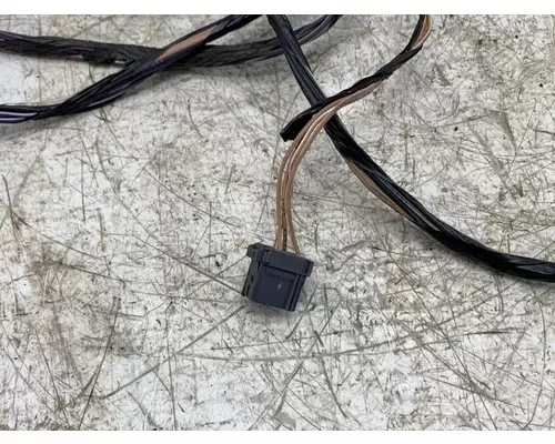 FREIGHTLINER A66-14541-030 Wiring Harness