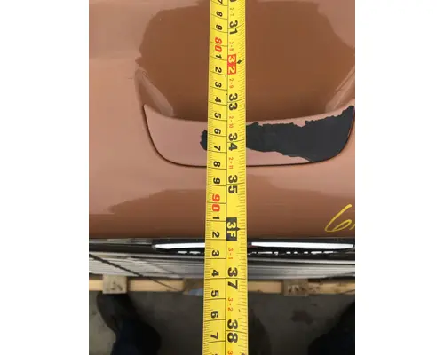 FREIGHTLINER Business Class M2 106V Hood