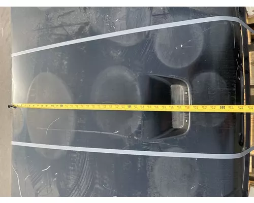 FREIGHTLINER Business Class M2 106 Hood