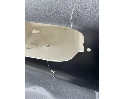 FREIGHTLINER Business Class M2 106 Hood