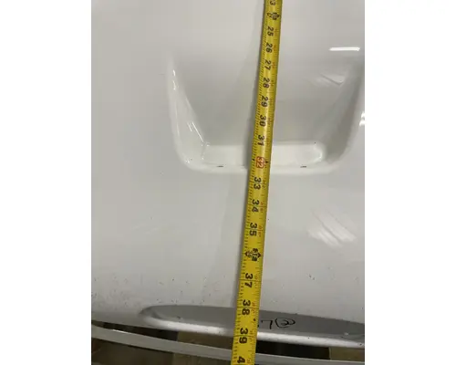 FREIGHTLINER Business Class M2 106 Hood