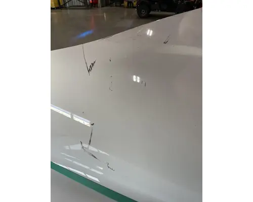 FREIGHTLINER Business Class M2 106 Hood