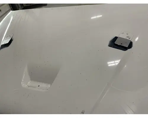 FREIGHTLINER Business Class M2 106 Hood