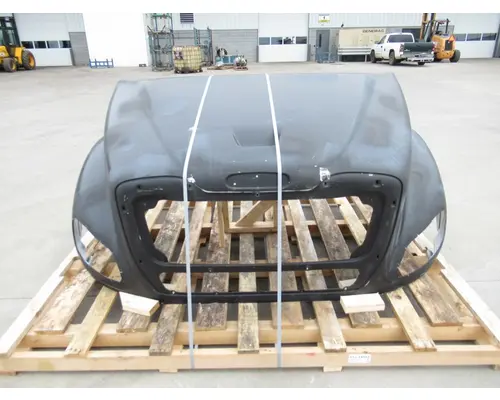 FREIGHTLINER Business Class M2 112 Hood