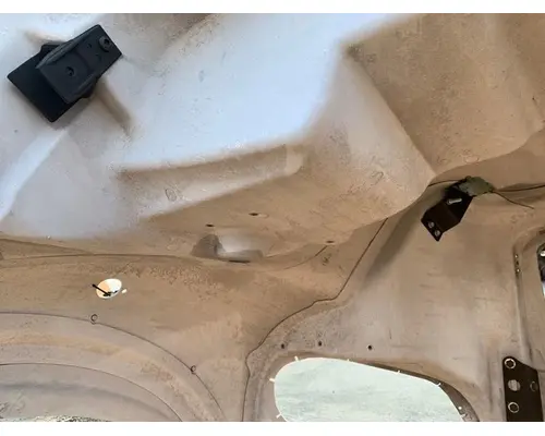 FREIGHTLINER Business Class M2 112 Hood