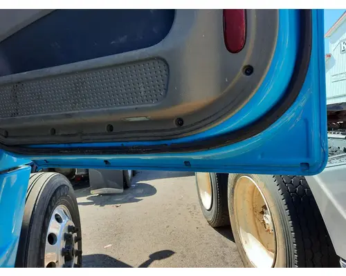 FREIGHTLINER CASCADIA 113-125 DOOR ASSEMBLY, FRONT