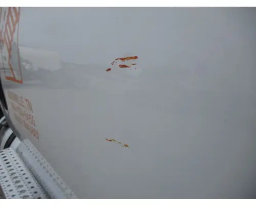 FREIGHTLINER CASCADIA 113-125 DOOR ASSEMBLY, FRONT