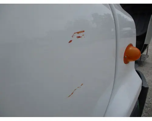 FREIGHTLINER CASCADIA 113-125 DOOR ASSEMBLY, FRONT