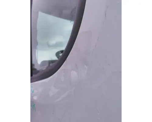 FREIGHTLINER CASCADIA 113-125 DOOR ASSEMBLY, FRONT