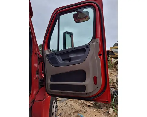 FREIGHTLINER CASCADIA 113-125 DOOR ASSEMBLY, FRONT