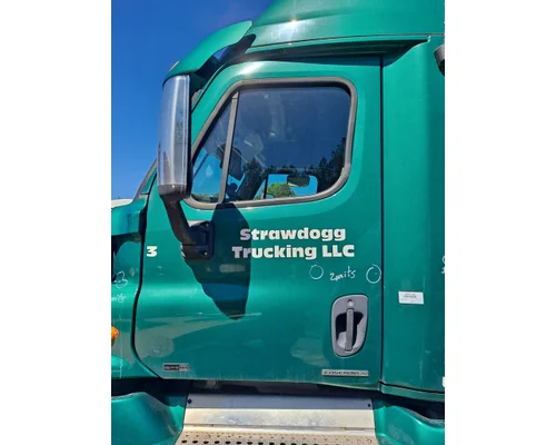 FREIGHTLINER CASCADIA 113-125 DOOR ASSEMBLY, FRONT