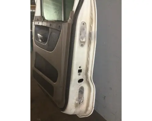 FREIGHTLINER CASCADIA 113-125 DOOR ASSEMBLY, FRONT