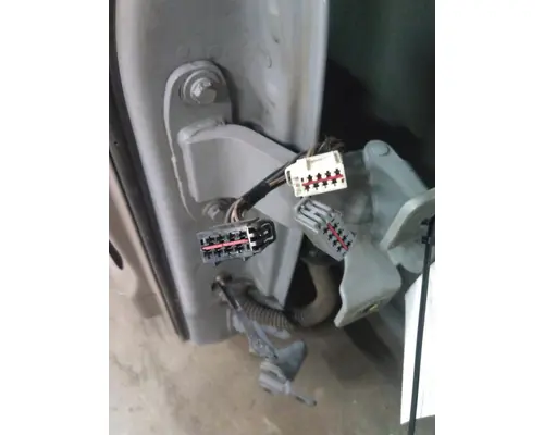 FREIGHTLINER CASCADIA 113-125 DOOR ASSEMBLY, FRONT