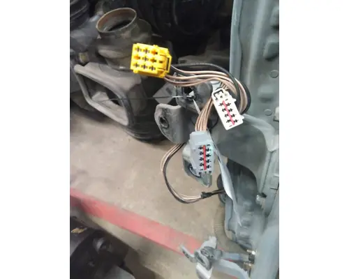 FREIGHTLINER CASCADIA 113-125 DOOR ASSEMBLY, FRONT