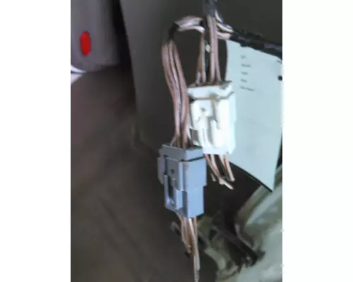 FREIGHTLINER CASCADIA 113-125 DOOR ASSEMBLY, FRONT