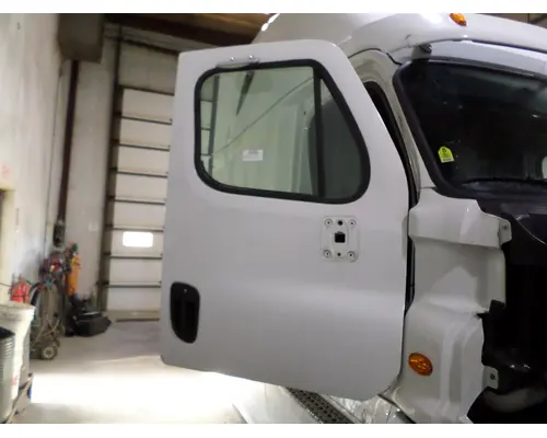 FREIGHTLINER CASCADIA 113-125 DOOR ASSEMBLY, FRONT
