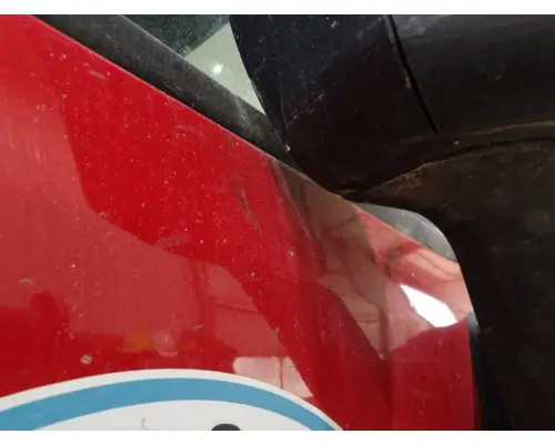 FREIGHTLINER CASCADIA 113-125 DOOR ASSEMBLY, FRONT