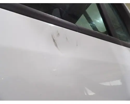 FREIGHTLINER CASCADIA 113-125 DOOR ASSEMBLY, FRONT