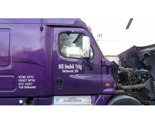 FREIGHTLINER CASCADIA 113-125 DOOR ASSEMBLY, FRONT