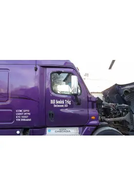 FREIGHTLINER CASCADIA 113-125 DOOR ASSEMBLY, FRONT