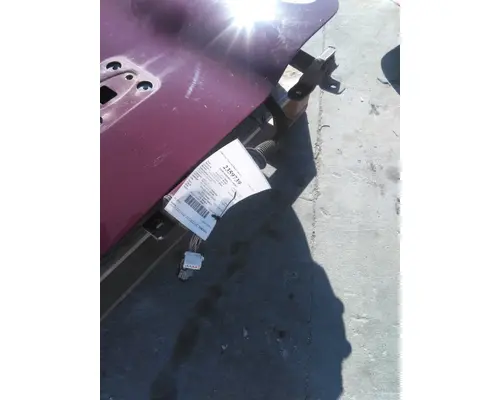 FREIGHTLINER CASCADIA 113-125 DOOR ASSEMBLY, FRONT