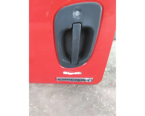 FREIGHTLINER CASCADIA 113-125 DOOR ASSEMBLY, FRONT