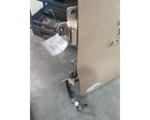 FREIGHTLINER CASCADIA 113-125 DOOR ASSEMBLY, FRONT