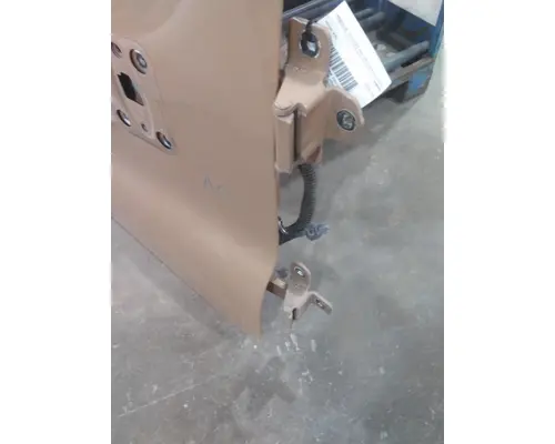 FREIGHTLINER CASCADIA 113-125 DOOR ASSEMBLY, FRONT