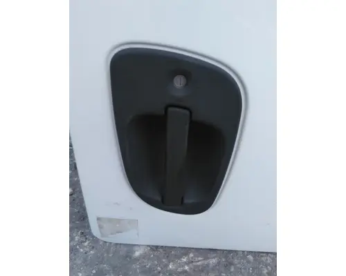 FREIGHTLINER CASCADIA 113-125 DOOR ASSEMBLY, FRONT