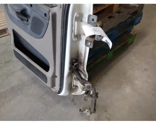 FREIGHTLINER CASCADIA 113-125 DOOR ASSEMBLY, FRONT