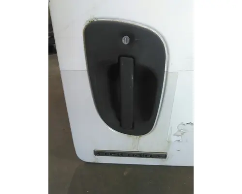 FREIGHTLINER CASCADIA 113-125 DOOR ASSEMBLY, FRONT