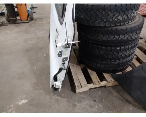 FREIGHTLINER CASCADIA 113-125 DOOR ASSEMBLY, FRONT