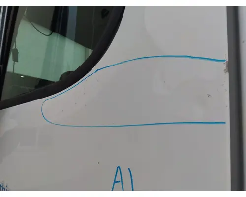 FREIGHTLINER CASCADIA 113-125 DOOR ASSEMBLY, FRONT
