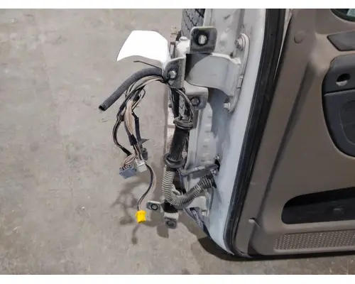 FREIGHTLINER CASCADIA 113-125 DOOR ASSEMBLY, FRONT