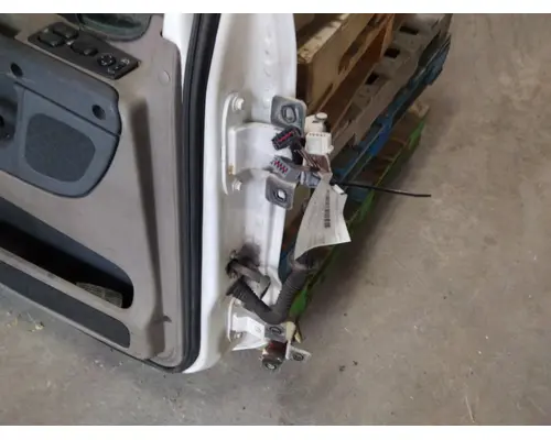FREIGHTLINER CASCADIA 113-125 DOOR ASSEMBLY, FRONT