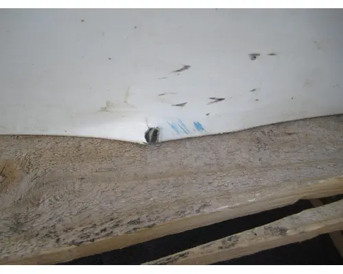 FREIGHTLINER CASCADIA 113-125 DOOR ASSEMBLY, FRONT