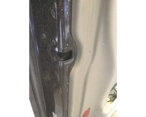 FREIGHTLINER CASCADIA 113-125 DOOR ASSEMBLY, FRONT