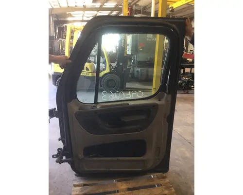 FREIGHTLINER CASCADIA 113-125 DOOR ASSEMBLY, FRONT