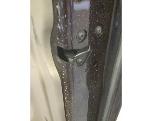 FREIGHTLINER CASCADIA 113-125 DOOR ASSEMBLY, FRONT