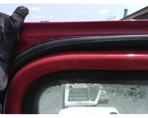 FREIGHTLINER CASCADIA 113-125 DOOR ASSEMBLY, FRONT