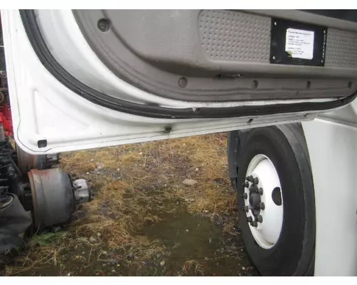 FREIGHTLINER CASCADIA 113-125 DOOR ASSEMBLY, FRONT