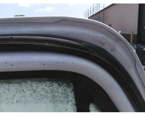 FREIGHTLINER CASCADIA 113-125 DOOR ASSEMBLY, FRONT