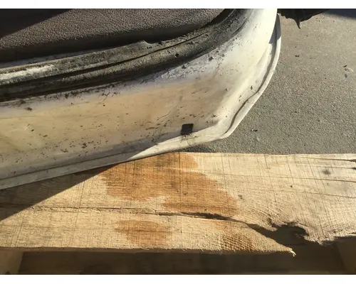 FREIGHTLINER CASCADIA 113-125 DOOR ASSEMBLY, FRONT