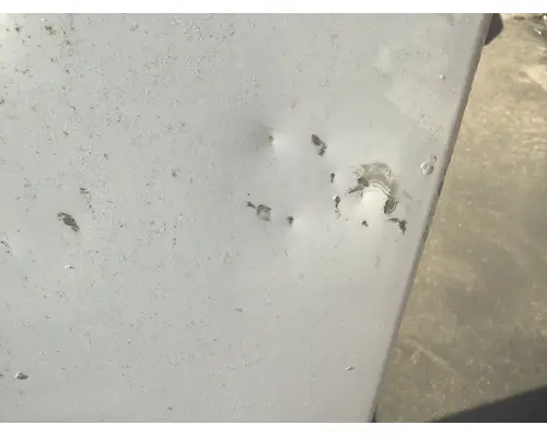 FREIGHTLINER CASCADIA 113-125 DOOR ASSEMBLY, FRONT