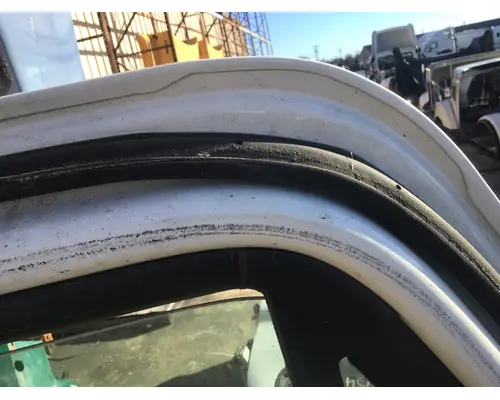 FREIGHTLINER CASCADIA 113-125 DOOR ASSEMBLY, FRONT