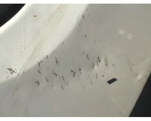 FREIGHTLINER CASCADIA 113-125 DOOR ASSEMBLY, FRONT