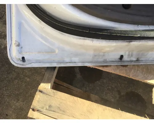 FREIGHTLINER CASCADIA 113-125 DOOR ASSEMBLY, FRONT