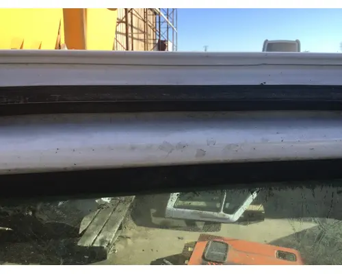 FREIGHTLINER CASCADIA 113-125 DOOR ASSEMBLY, FRONT