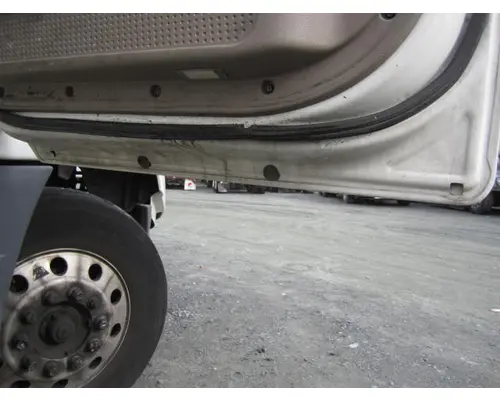 FREIGHTLINER CASCADIA 113-125 DOOR ASSEMBLY, FRONT