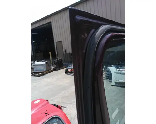 FREIGHTLINER CASCADIA 113-125 DOOR ASSEMBLY, FRONT